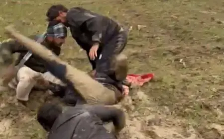 Noida News : आप के जिला सचिव को विद्युत विभाग के कर्मचारियों ने जमकर पीटा, सोशल मीडिया पर वीडियो वायरल