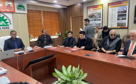 Noida News : फिल्म सिटी को विकसित करने के लिए 4 कंपनियों ने दिया प्रस्तुतिकरण