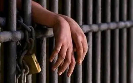 Noida News : विभिन्न जगहों से दर्जन भर बदमाश गिरफ्तार, अवैध हथियार और मादक पदार्थ बरामद