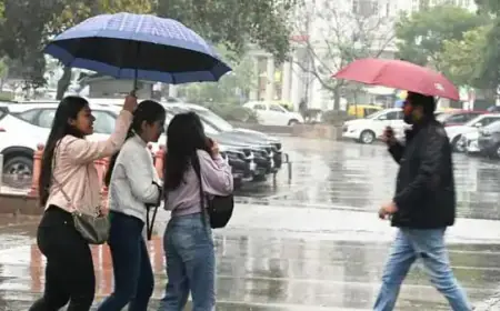 Weather Update : हलकी बारिश के बाद  फिर बड़ी ठण्ड 