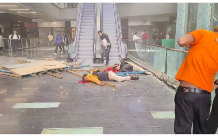 Noida News : नोएडा के ब्लू स्क्वायर मॉल में बड़ा हादसा, लोहे का स्ट्रक्चर गिरने से दो लोग की मौत
