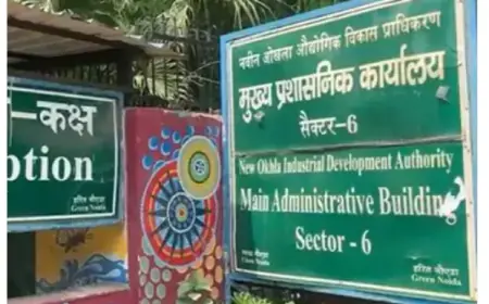 Noida News : नोएडा के 35 सेक्टरों में सर्फेस पार्किंग शुरू, दोपहिया व चार पहिया वाहनों के लिए शुल्क निर्धारित