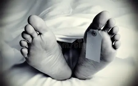 Noida News :    नाले में मिला अज्ञात व्यक्ति का शव