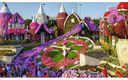 Noida News : अब नोएडा में बनेगा दुबई जैसा  मिरेकल गार्डन 