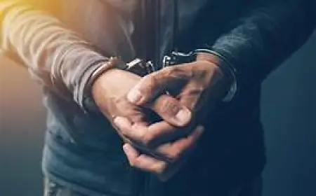 Noida news : विशेष अभियान के तहत नोएडा पुलिस ने पकड़े दर्जनों बदमाश