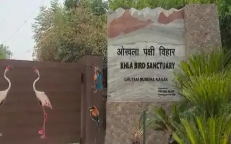 Noida news : वन विभाग की टीम पर चोर ने चलाई गोली