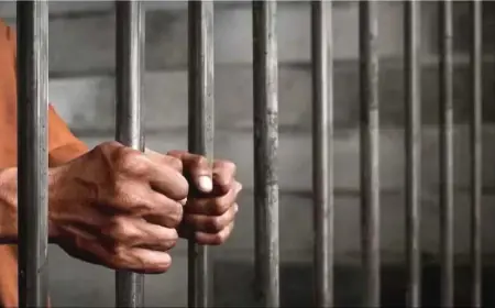 Noida News :  अवैध रूप से शराब बनाने वाली फैक्ट्री का भंडाफोड़