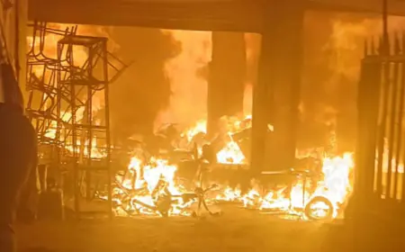 Noida News : फर्नीचर की बंद कंपनी में लगी भयंकर आग