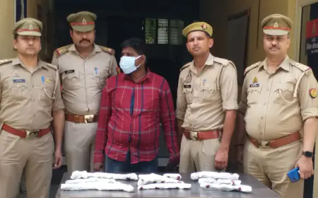 Noida News : अवैध रूप से हथियार बेचने वाले दो गिरफ्तार, भारी मात्रा में शस्त्र बरामद