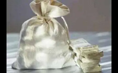 Noida News :  लाखों रुपए के जेवराज से भरे महिला का पर्स चोरी