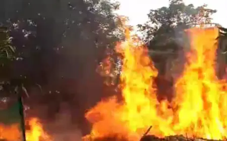 Noida News : मेघदूतम पार्क में लगी आग