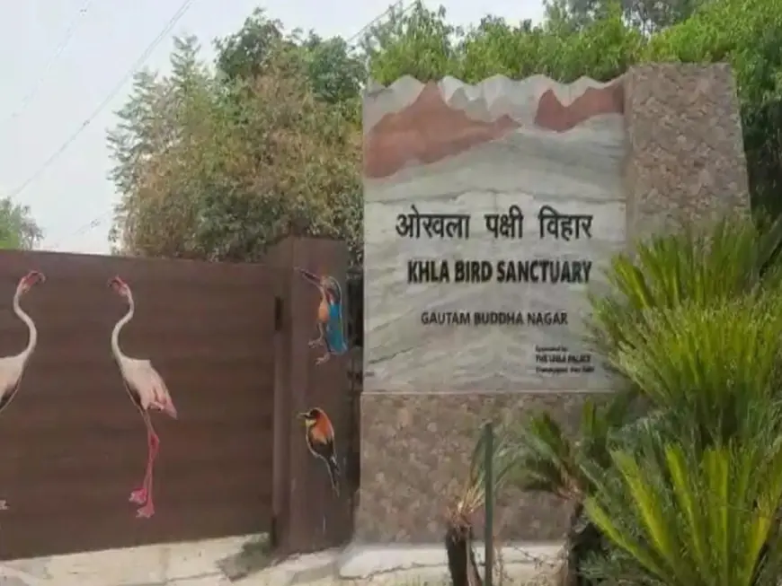 Noida news : वन विभाग की टीम पर चोर ने चलाई गोली