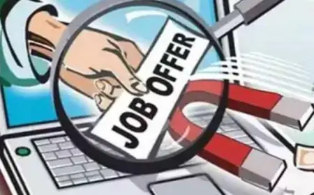 Jewar News : पार्ट टाइम जॉब का झांसा देकर साइबर अपराधियों ने लाखों रुपए ठगे