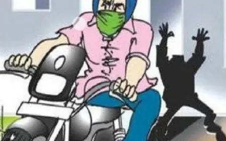 Noida News : बेखौफ चोरों ने विभिन्न जगहों से 6 वाहन किया चोरी