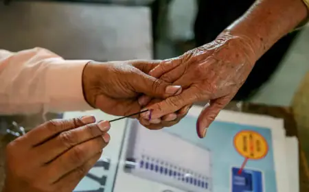 Lok Sabha Election 2024 : लोकतंत्र के पर्व में बुद्धिजीवों का शहर हुआ फेल, कुछ बुथ पर मात्र 4.81 प्रतिशत हुआ मतदान