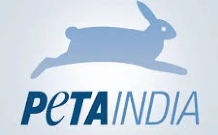 Noida News : लावारिस कुत्ते के हत्यारे की सूचना देने वालों को पेटा देगा 50 हजार का इनाम