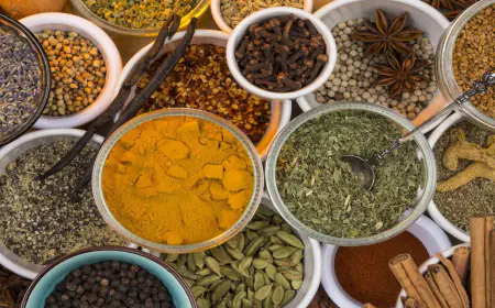 Noida News : खाद्य विभाग ने नौ मसाला कंपनियों का सैंपल जांच के लिए भेजा