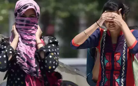 Heat Wave : पारा चढ़ते ही बिजली कटौती शुरू, लोगों का हाल बेहाल