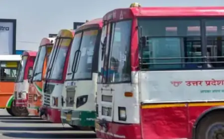 Noida News : यूपी रोडवेज द्वारा स्कूली बच्चों के लिए आज से शुरू की गई पिकनिक सेवा