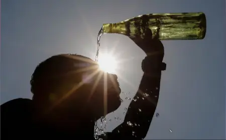 Heat wave : प्रचंड गर्मी का कहर जारी: विभिन्न जगहों पर 12 लोगों की मौत