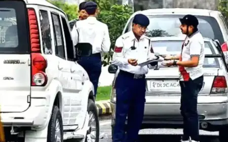 Noida News : ट्रैफिक के नियमों का उल्लंघन करने वालों पर चला पुलिस का डंडा, 4 के खिलाफ मुकदमा दर्ज