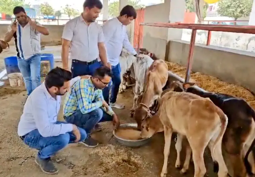 Noida News : गौवंश की सेवा में जुटे व्यापारियों की सराहना, गौशाला को दिया 160 क्विंटल भूसा