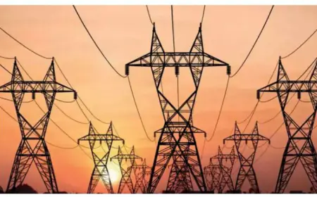 Lucknow News :  यूपीपीसीएल के टोल फ्री नंबर-1912 पर करें फोन,  बिजली संबंधित शिकायतों का अधिकारी करेंगे समाधान