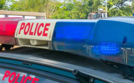 Noida News :  चोरी की नीयत से घूम रहा बदमाश अवैध हथियार सहित गिरफ्तार