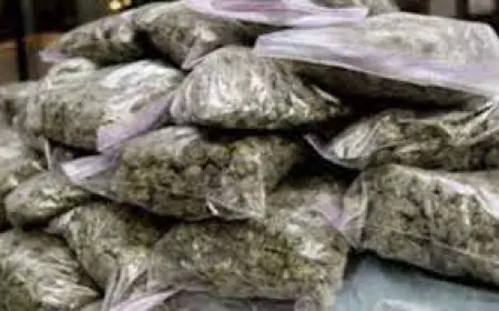 Dadri News : विभिन्न जगहों से दो गांजा तस्कर गिरफ्तार 10 किलो 300 ग्राम गांजा बरामद