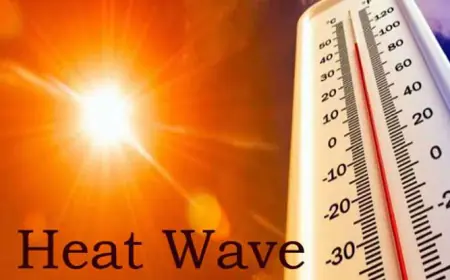 Noida News : हीट वेव के चलते ड्यूटी के दौरान सड़क पर मूर्छित होकर गिरा यातायात पुलिस का मुख्य आरक्षी