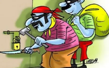Noida News : बेखौफ बदमाशों ने विभिन्न जगहों पर रहने वाले तीन लोगों के घरों से कीमती सामान किया चोरी