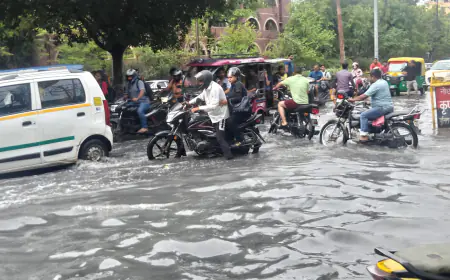 Noida News : पहली बरसात में शहर हुआ जाम, प्राधिकरण के दावों की खुली पोल