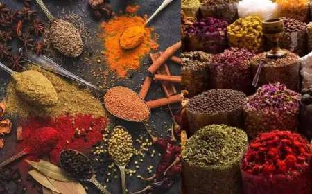 Noida News : गौतम बुद्ध नगर के मसालों में नहीं पाए गए एथीलीन ऑक्साइड कीटनाशक