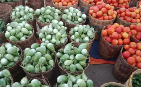 Noida News : फल एवं सब्जी मंडी की मासिक बंदी निरस्त