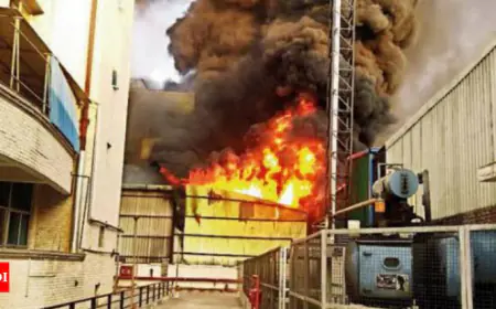 Noida News : इलेक्ट्रिक उत्पाद बनाने वाली सील बंद फैक्टरी में लगी आग