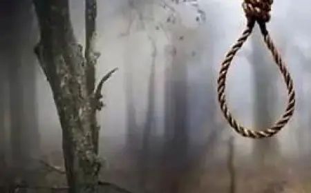 Noida News : पेड़ से लटका मिला अज्ञात व्यक्ति का शव