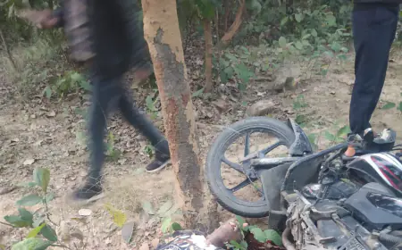 Greater Noida News : अनियंत्रित बाइक पेड़ से टकराई, पति की मौत पत्नी घायल