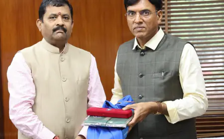 New Delhi News : केंद्रीय खेल मंत्री से मिले डीसीसीआई के चेयरमैन, दिव्यांगों के क्रिकेट मैच पर चर्चा