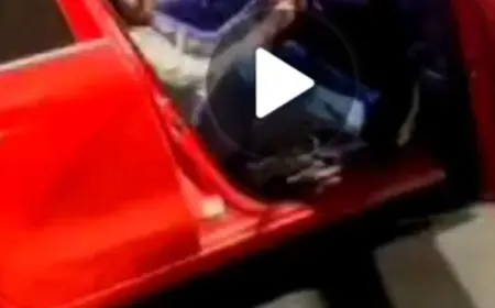 Noida News : लाल रंग की स्विफ्ट कार से स्टंट करने वाले व्यक्ति के खिलाफ मुकदमा दर्ज