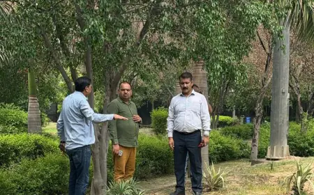 Noida News : नोएडा प्राधिकरण के डीजीएम ने कार्यों का किया निरीक्षण