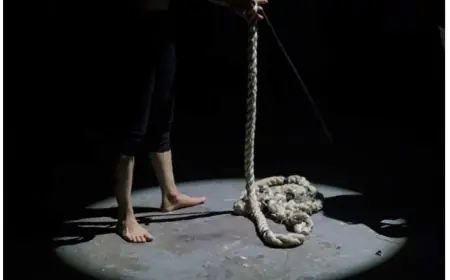 Noida News : दसवीं के छात्र ने पंखे से फंदा लगाकर की आत्महत्या, युवक को सांप ने काटा मौत