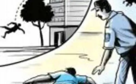 Noida News : विभिन्न जगहों पर रहने वाले दो लोग ऊंचाई से गिरे, मौत