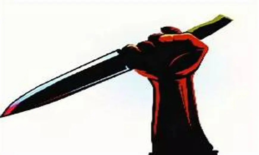 Greater Noida News : शराबियों को नहीं मिली समय से सलाद, होटल मालिक और वेटर के ऊपर किया घातक हमला