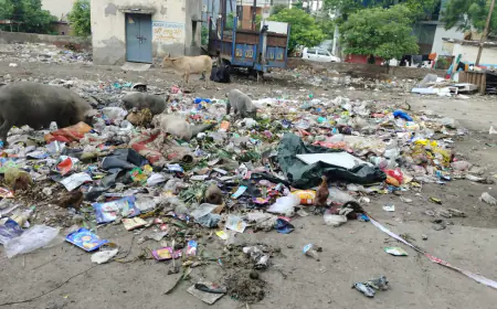 Ghaziabad News : नगर निगम की लापरवाही से नारकीय जीवन जीने को मजबूर गुलमोहरवासी