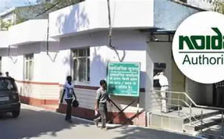 Noida News : ट्रैफिक जाम से छुटकारा पाने के लिए यातायात पुलिस ने नोएडा प्राधिकरण को दिया पत्र, सड़के होगी चौड़ी