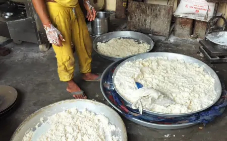 Noida News : रक्षा बंधन की पूर्व संध्या पर नाले में फेंकी गई 200 किलो दूषित मिठाई, रिलायंस स्टोर से लिया नमूना