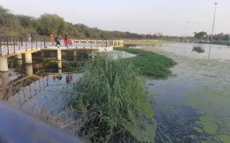 Noida News : खरगोश पार्क के तालाब में नहाने गया किशोर डूबा, शव बरामद