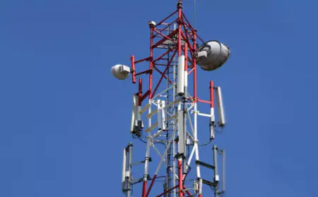 Noida News : मोबाइल फोन के टावर से कीमती उपकरण चोरी कर रहा चोर रंगे हाथों पकड़ा