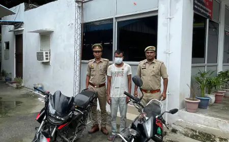 Noida News : वाहन चोर गिरफ्तार