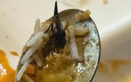 Greater Noida News : नामी रेस्टोरेंट के वेज पुलाव  में निकला कीड़ा ,अधिवक्ता ने की शिकायत